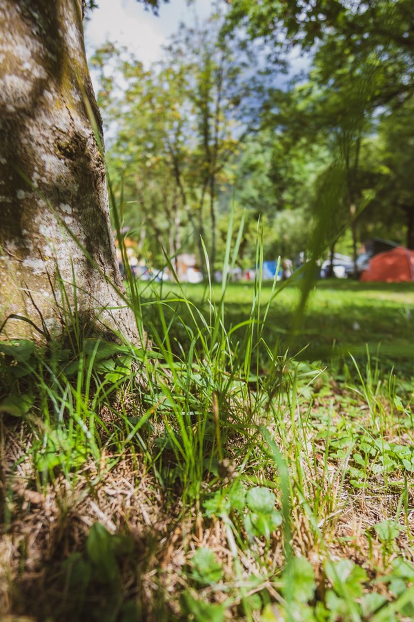 Camping Casa Vecchia: i nostri pilastri della sostenibilità